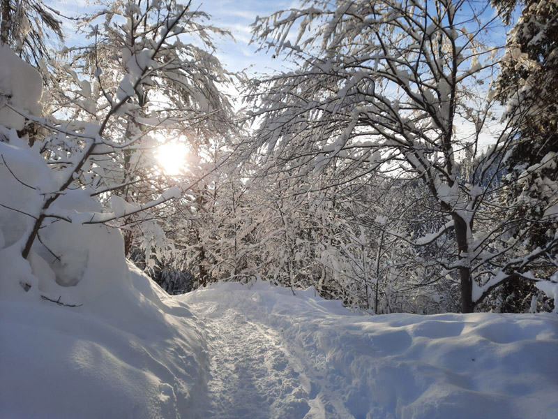 Chalet rental for weddings and seminars in the Alps