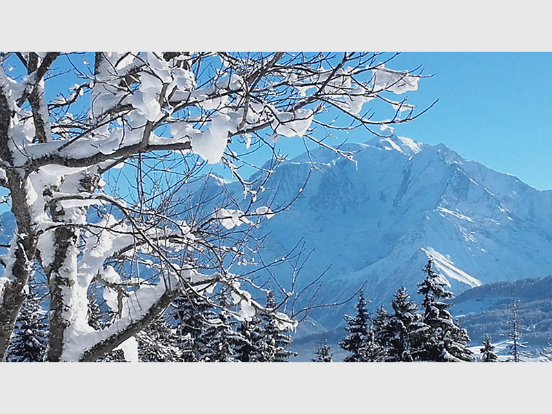 Chalet d'Alpage Cornillon à Cordon