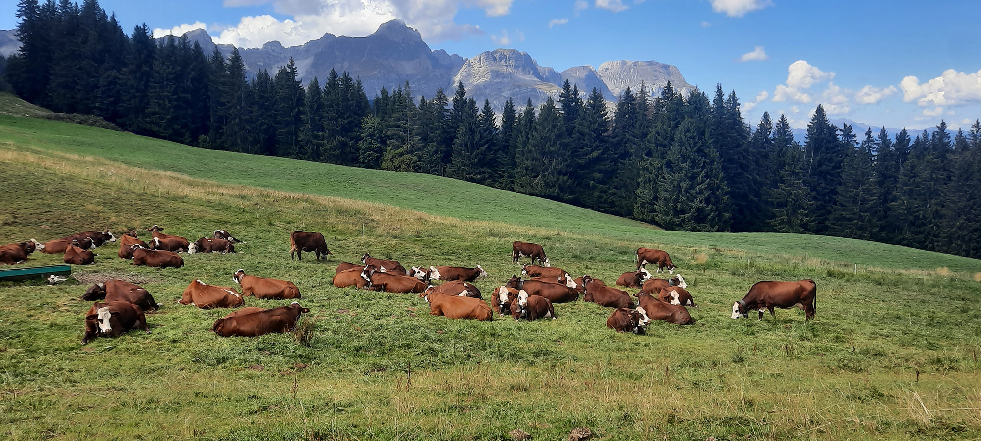 Chalet Cornillon Haute-Savoie 74