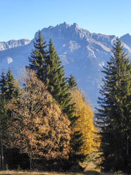 Chalet d'Alpage Cornillon in Cordon