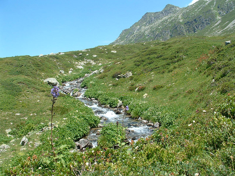 Location chalet pour fêtes de famille dans les Alpes